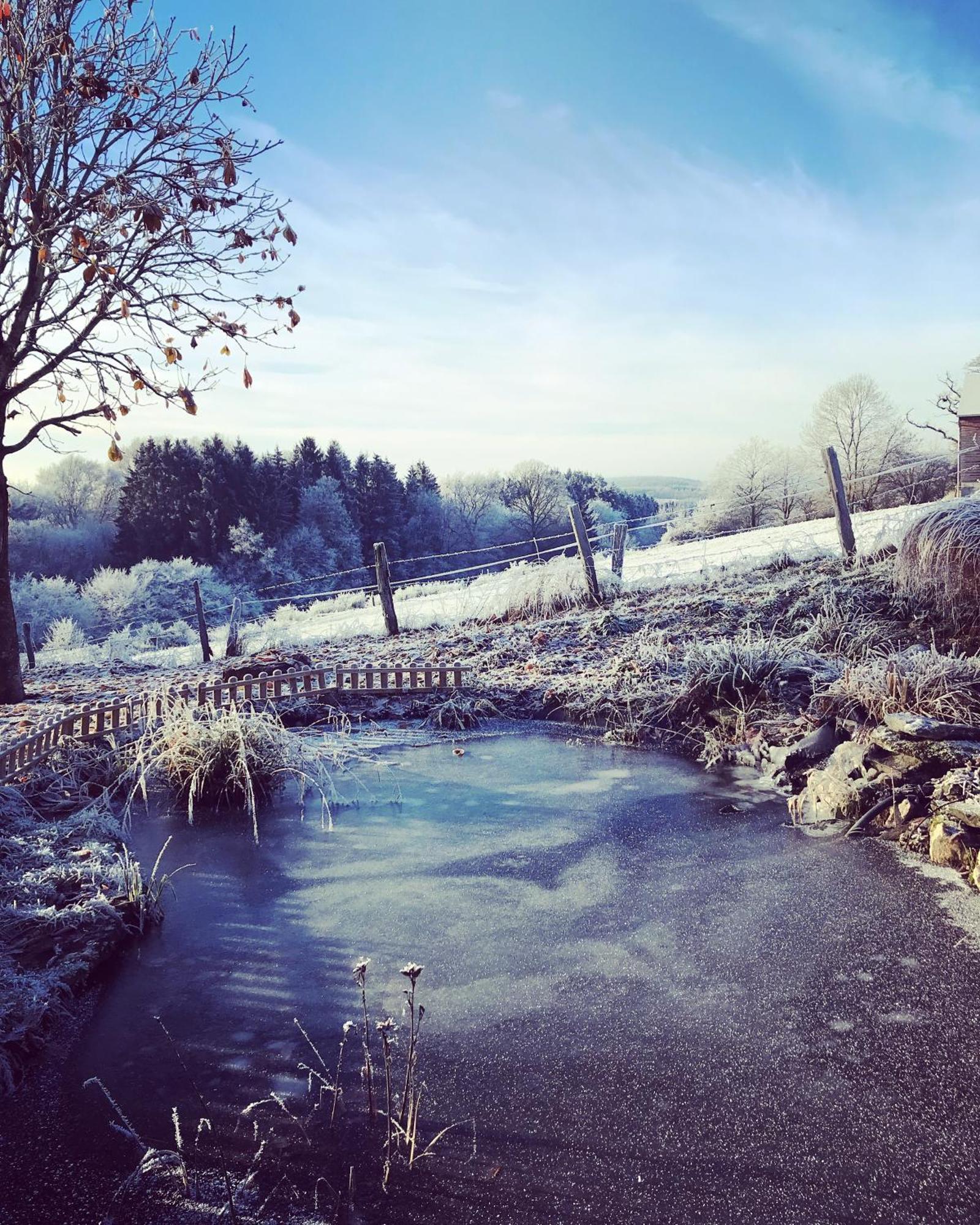 La Vieille Forge B&B Houffalize Eksteriør bilde
