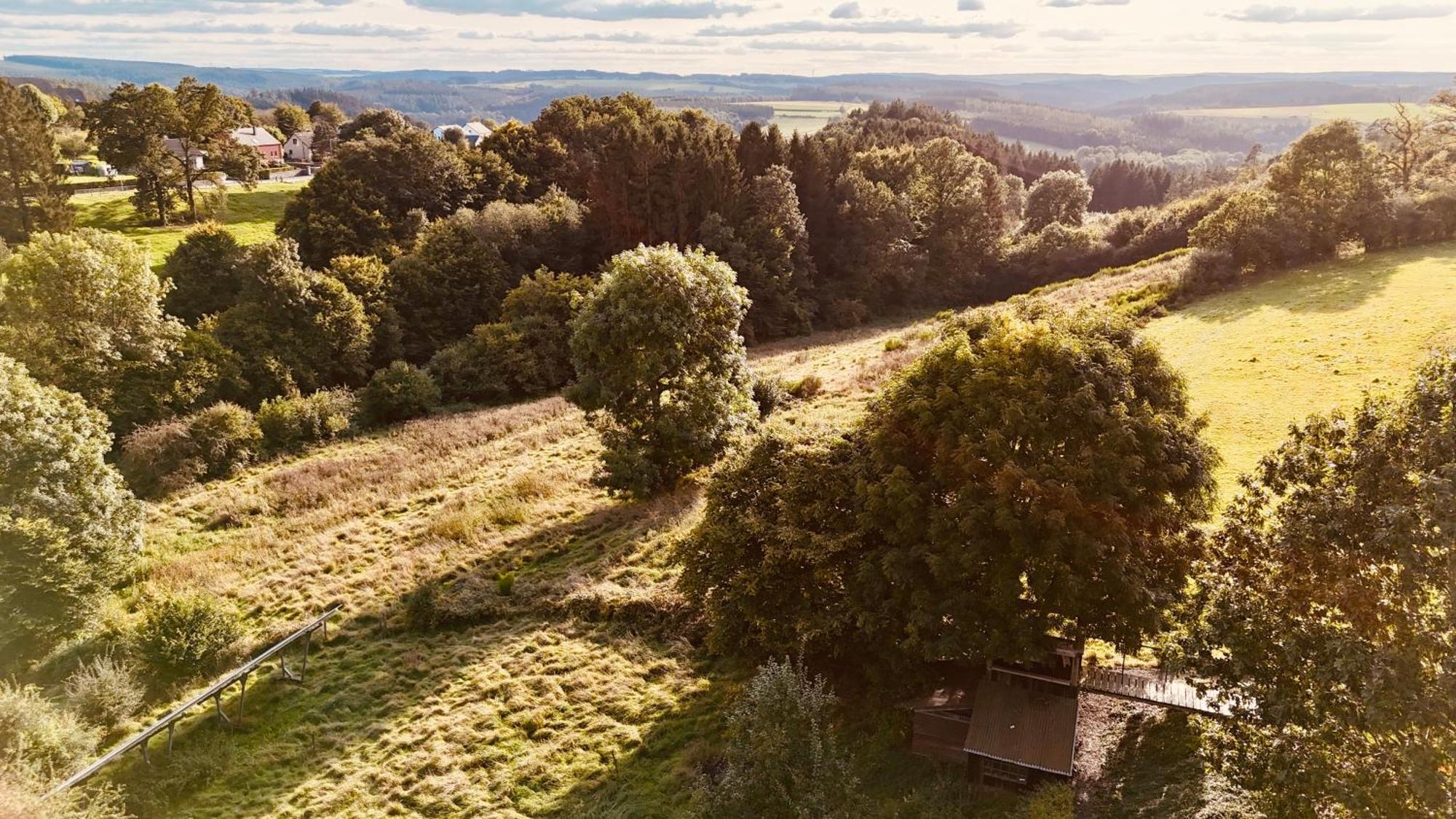 La Vieille Forge B&B Houffalize Eksteriør bilde